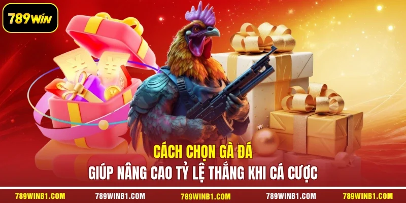 Cách Chọn Gà Đá Giúp Nâng Cao Tỷ Lệ Thắng Khi Cá Cược